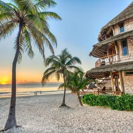 Alaya Tulum By Ahau Collection Hotel