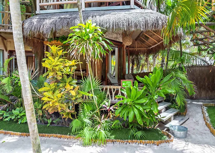 Hotel Alaya Beachfront 4*