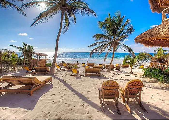 Alaya Beachfront