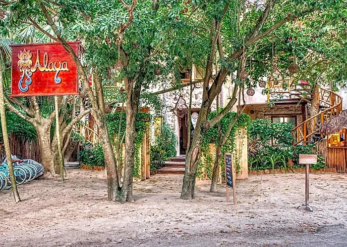 Alaya Beachfront Hotel 4*