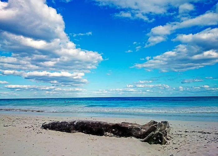 Alaya Beachfront Hotel 4*